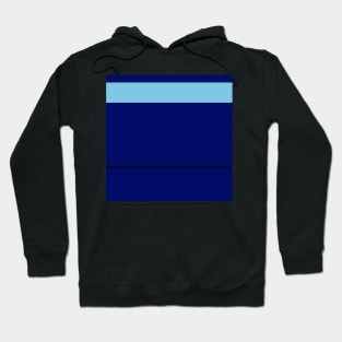 An occassional consistency of Sky Blue, Blue, Dark Imperial Blue and Cetacean Blue stripes. Hoodie